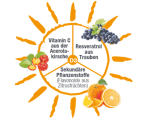 Zusammensetzung Vitamin D3 4000 I.E. Vitamind34000