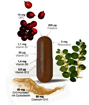 Q10 Grafik Q10 Grafik