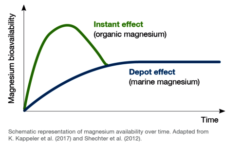 Magnesium Magnesium