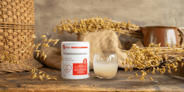 cholesterinreduktion cholesterinreduktion