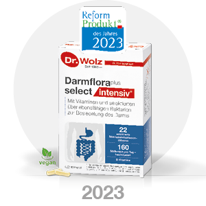 Bilder-Zeitleiste Bilder-Zeitleiste