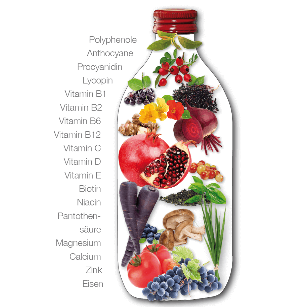 Zusammensetzung Vitalkomplex Dr. Wolz Zusammensetzung Vitalkomplex Dr. Wolz