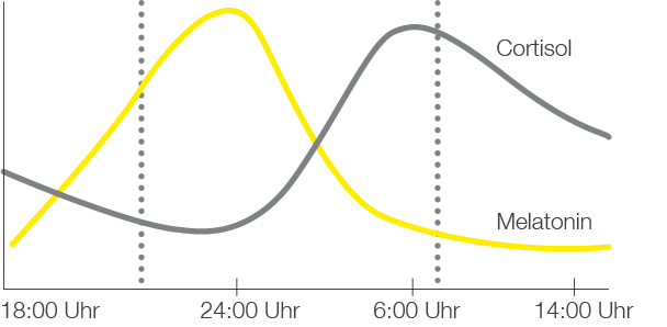 Ideale Kurven für Cortisol und Melatonin über den Tag