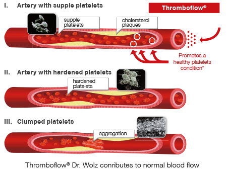 Thromboflow